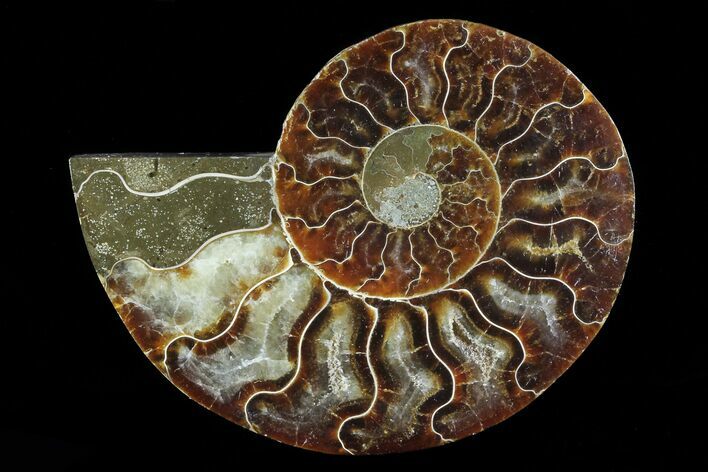 Agatized Ammonite Fossil (Half) - Madagascar #83851